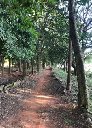 Parque Ecológico Municipal Engenheiro João Trombini   