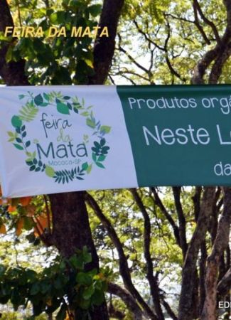 FEIRA DA MATA