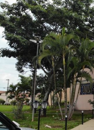 Praça da Igreja São Domings